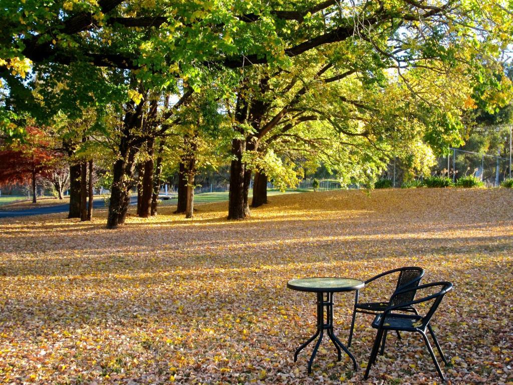 Moore Park