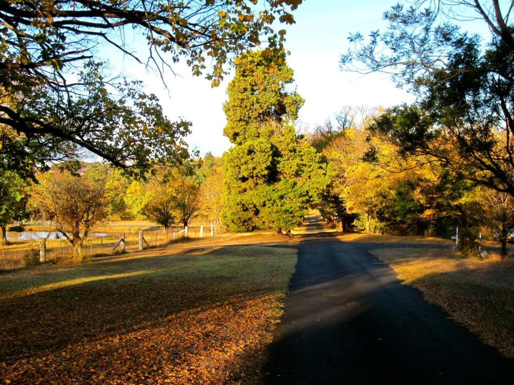 Hotel Moore Park Armidale